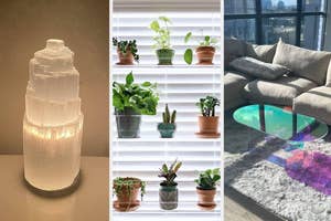 Three different indoor plant setups for home decor inspiration