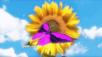 Mariposa morada animada posada en un girasol bajo un cielo azul
