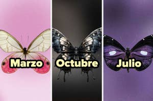 Tres paneles con mariposas y meses del año: Marzo, Octubre y Julio