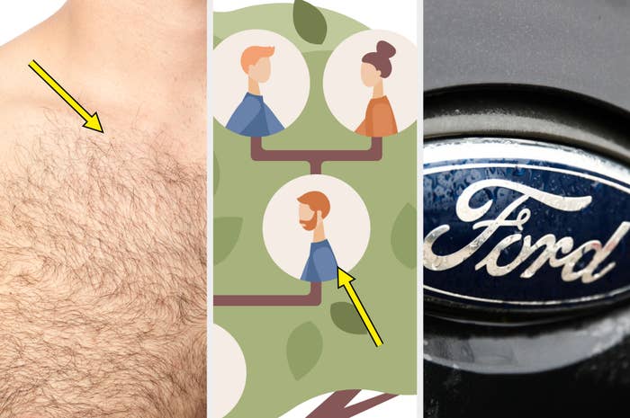 Three images: close-up of a human armpit, illustration of people in a tree diagram, Ford car logo close-up