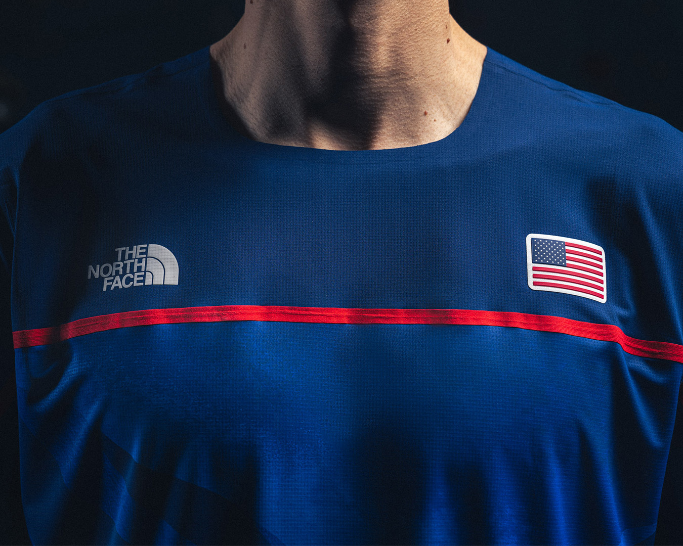 Person in a blue The North Face shirt with a USA flag and brand logo on the chest