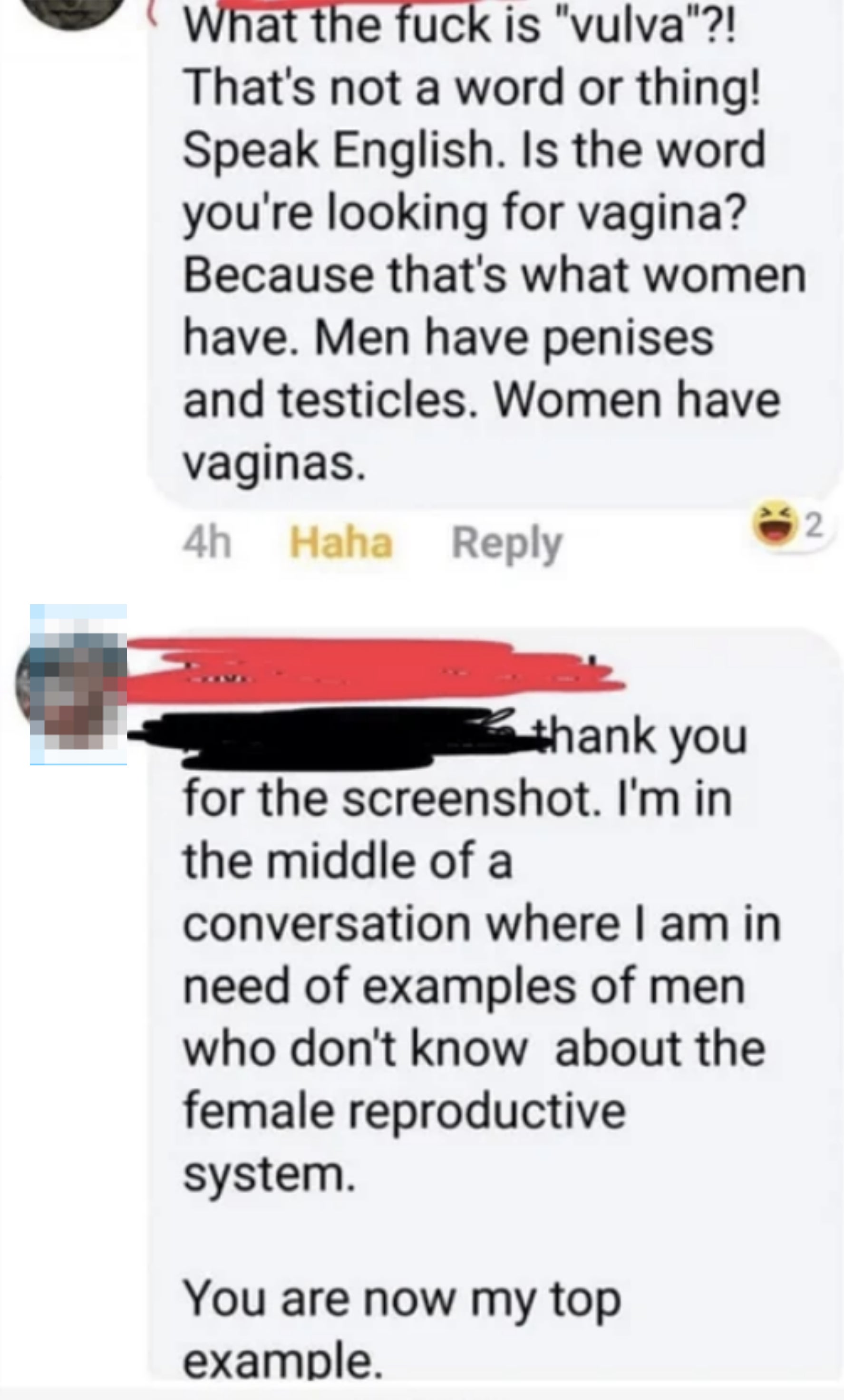 Text in a screenshot expressing confusion over the term &quot;vulva,&quot; with comments explaining its meaning and questioning the knowledge of the original poster