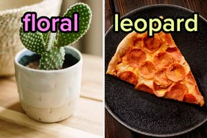 On the left, a cactus in a ceramic pot labeled floral, and on the right, a slice of cold pepperoni pizza on a plate labeled leopard