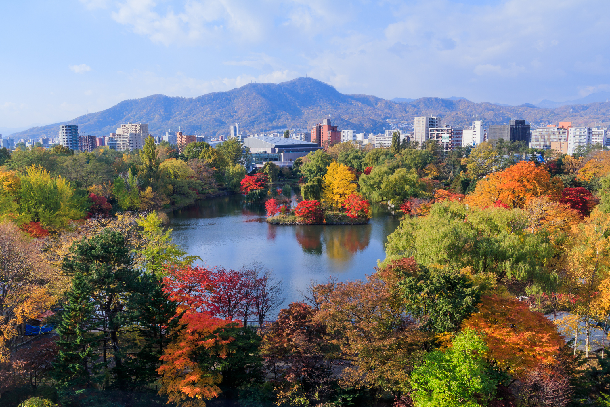 Autumn leaves around a pond with cityscape and mountains in background