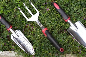 Three gardening tools with ergonomic handles laid on ground with plants