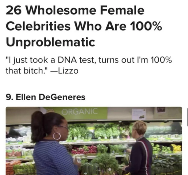 Ellen DeGeneres stands in a grocery store aisle next to a person, produce shelves visible. Text: 26 Wholesome Female Celebrities Who Are 100% Unproblematic