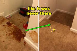 Before and after of a reviewer's carpet, with a stain removed "like it was never there"