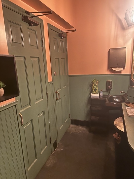 Restroom interior with two doors, a sink, mirror, and decorative plants