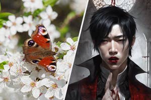 A red moth on white flowers and a male vampire with blood on his lips