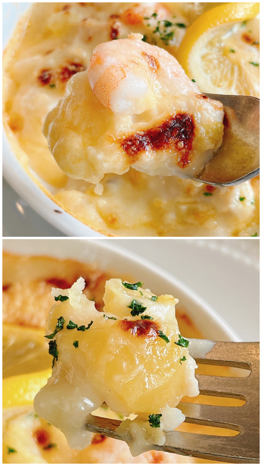 ロイヤルホストのおすすめメニュー「コスモドリアスペシャルランチ」