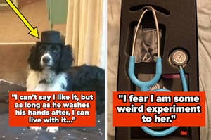 Two-part image: Left shows a dog wearing a hat. Right displays a stethoscope and other medical tools. Text overlays describe humorous pet thoughts
