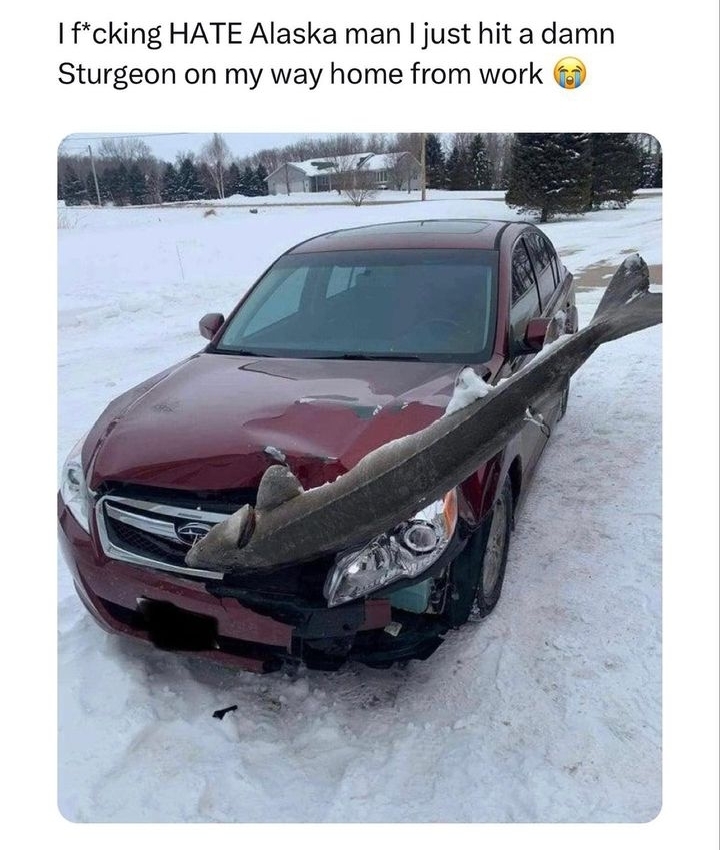 Car with a large wooden log stuck in its grille after an accident in the snow