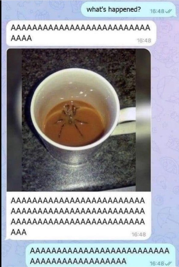 A spider is visible on the surface of coffee in a mug, with a text conversation expressing alarm above and below the photo