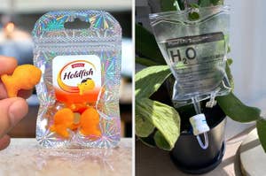 a pack of magnets that look like Goldfish / a reviewer's plant with an H2O IV bag