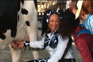 Several people milking a cow, one person is laughing joyfully, dressed in cow-themed attire