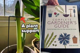 A plant support stake holding a plant up/A book titled: Complete Gardener's Guide