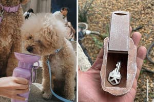 Dog drinking from portable water bottle and a key inside a fake rock