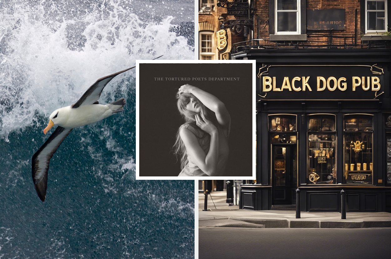 Collage of three images: a seagull flying over waves, album cover titled "THE TORTURED POET'S DEPARTMENT," and a "BLACK DOG PUB" storefront