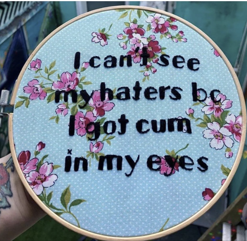 Embroidery hoop with text &quot;I can&#x27;t see my haters&quot; and explicit content, surrounded by floral pattern