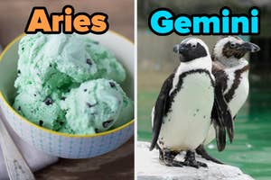 On the left, a bowl of mint chocolate chip ice cream labeled Aries, and on the right, two penguins labeled Gemini