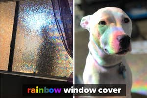 A split image featuring a rainbow window cover on the left and a close-up of a dog on the right with text "rainbow window cover" below