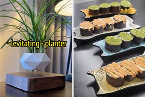 levitating planter and cat plates