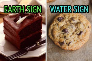 On the left, a slice of chocolate cake labeled earth sign, and on the right, a chocolate chip cookie labeled water sign