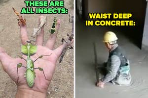 Left: Hand holding various camouflaged insects. Right: Worker stuck waist-deep in wet concrete