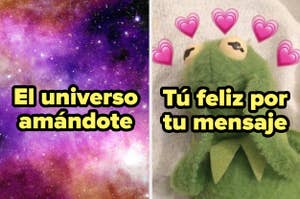 Meme con dos paneles, izquierdo muestra el universo y texto "El universo amándote", derecho, Rana René sonriendo y "Tú feliz por tu mensaje"