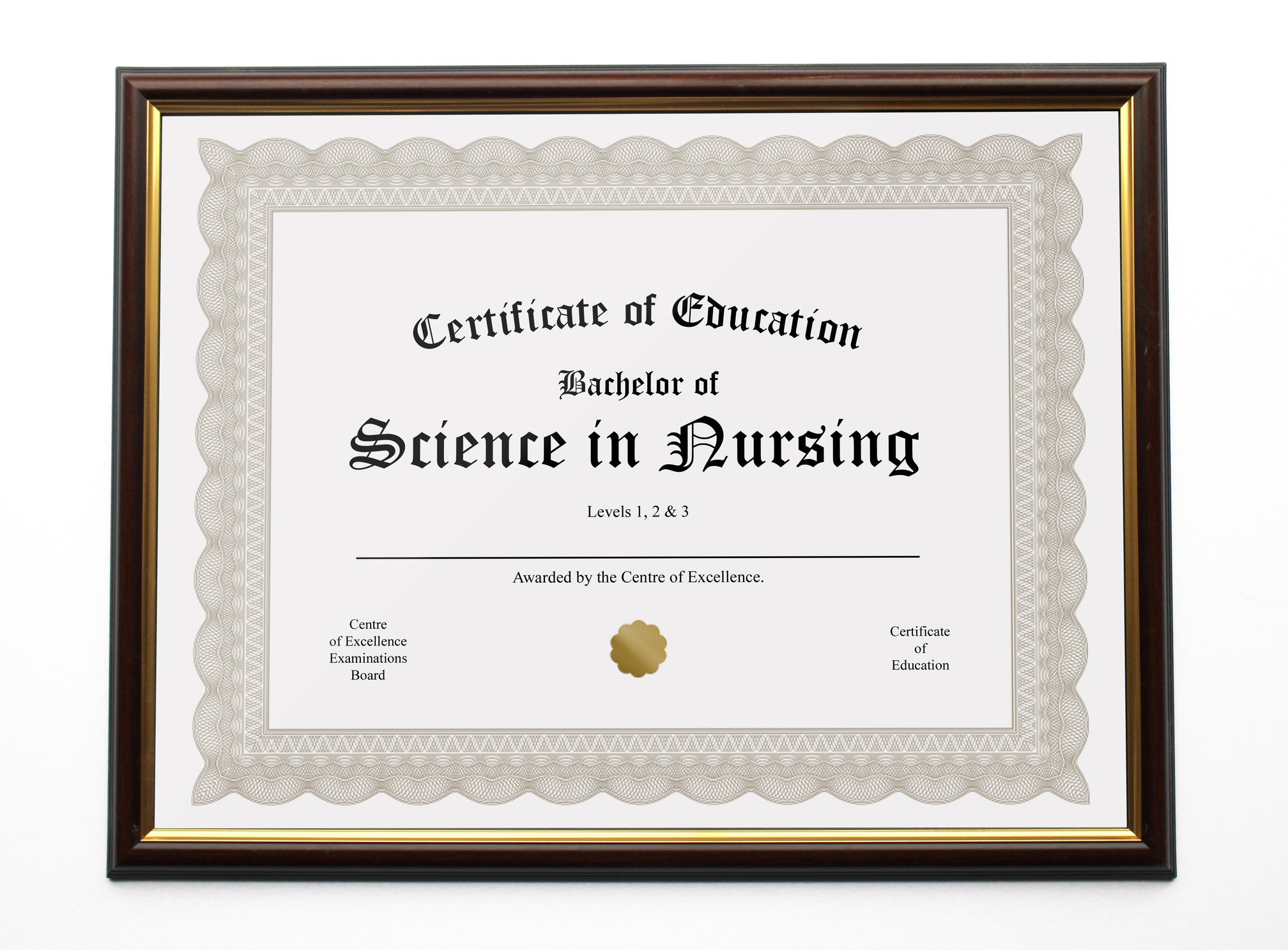 Framed certificate of completion for a Bachelor of Science in Nursing from the Centre of Excellence