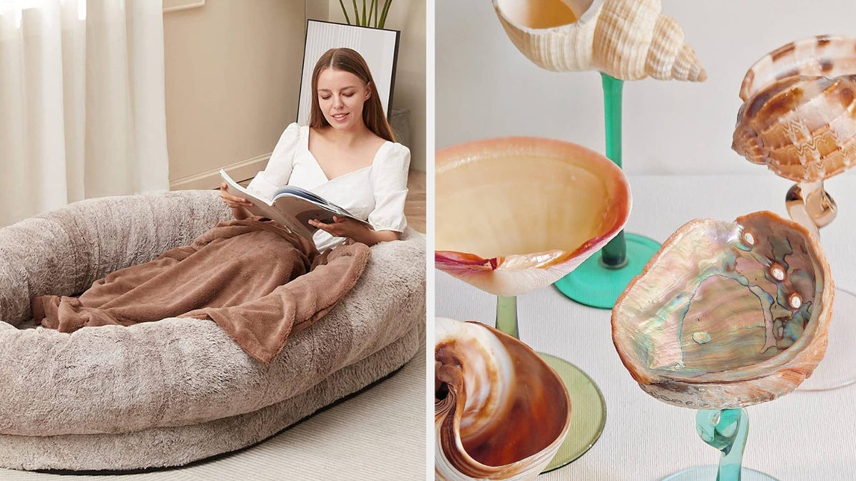 Woman lounging in a large, cozy cushioned pet bed while reading a book; artistic glass seashell sculptures on display