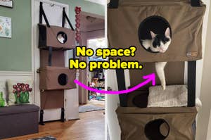 Two cats relax in compact wall-mounted hammocks, illustrating space-saving pet furniture