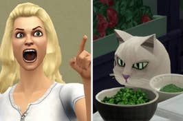 An animated woman with a surprised expression next to a cat looking at a bowl. Both are characters resembling those from The Sims game