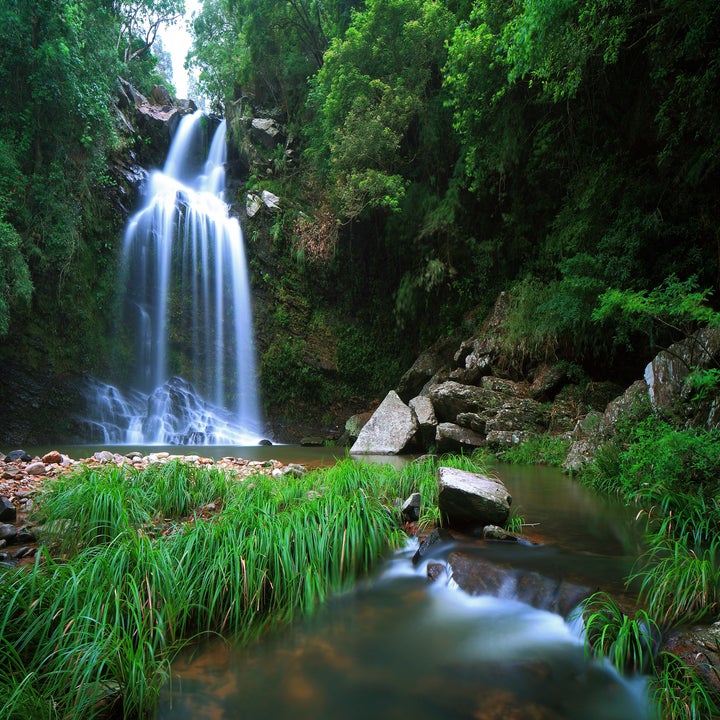Waterfall cascading into tranquil pool surrounded by greenery
