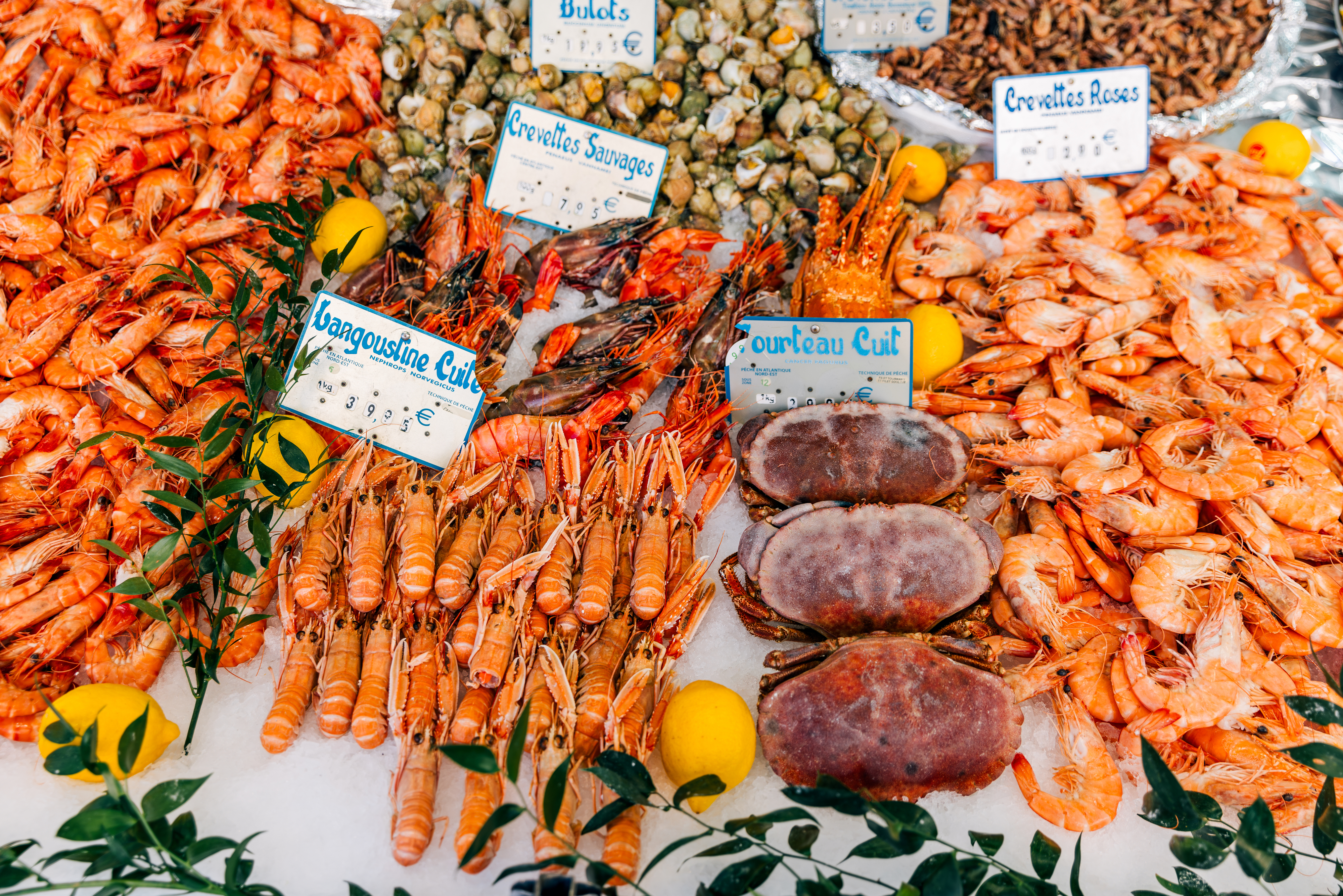 A variety of seafood including shrimp and crab displayed for sale with labeled prices