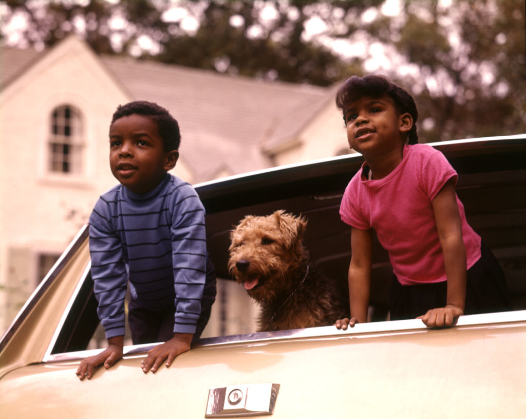 Two children and a dog peer out of a car&#x27;s sunroof, with a house in the background
