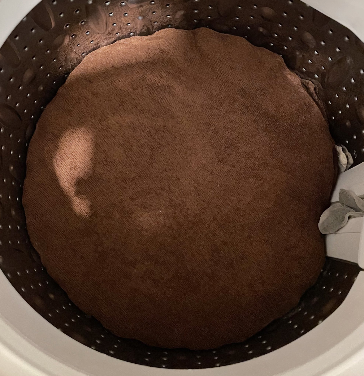 洗濯機の中にある大きな茶色のぬいぐるみ。