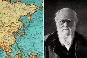 Left: Vintage map with regions labeled in the Pacific area. Right: Portrait of Charles Darwin with a full beard