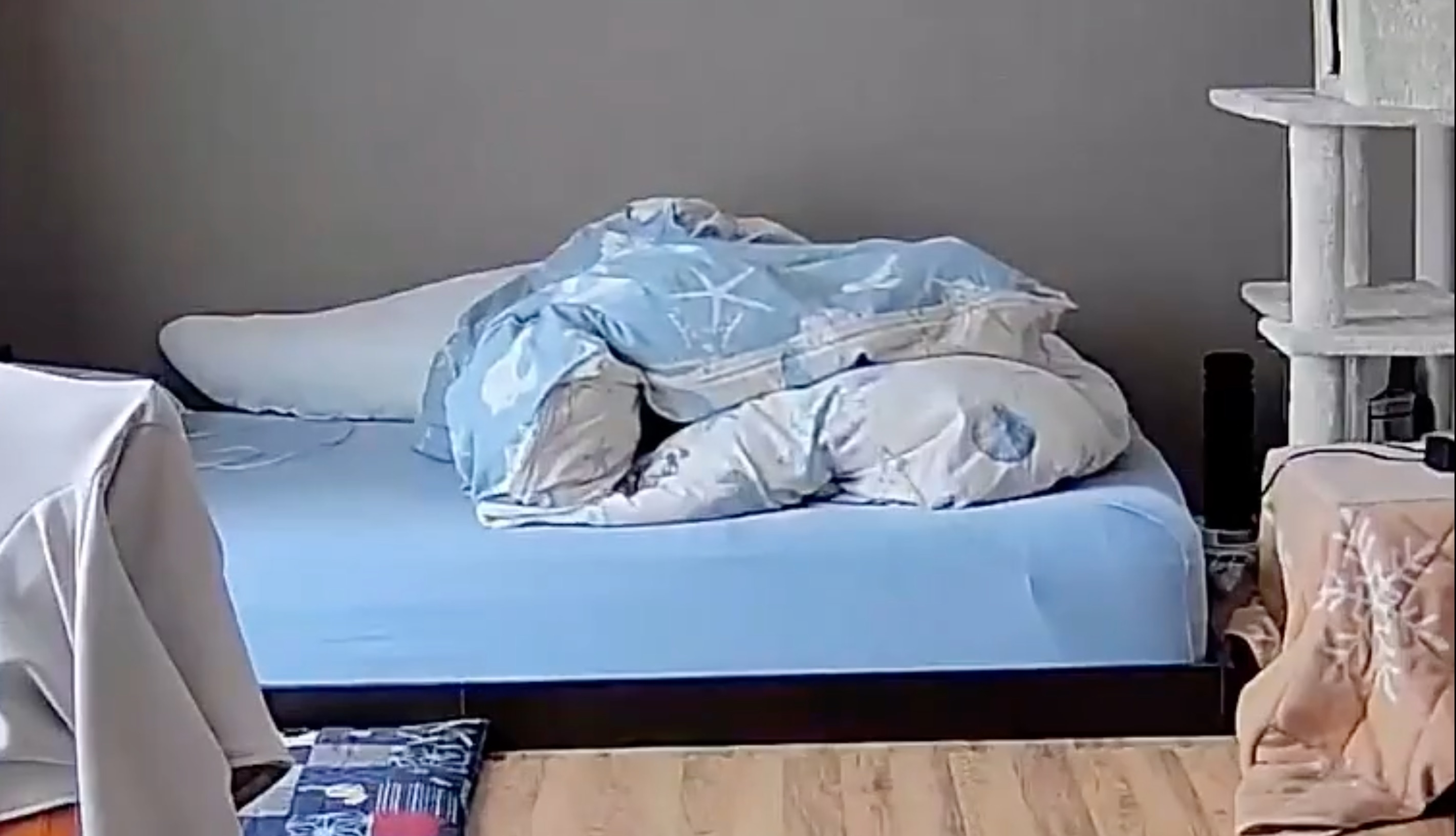 ベッドに青い布団がかけられている寝室。