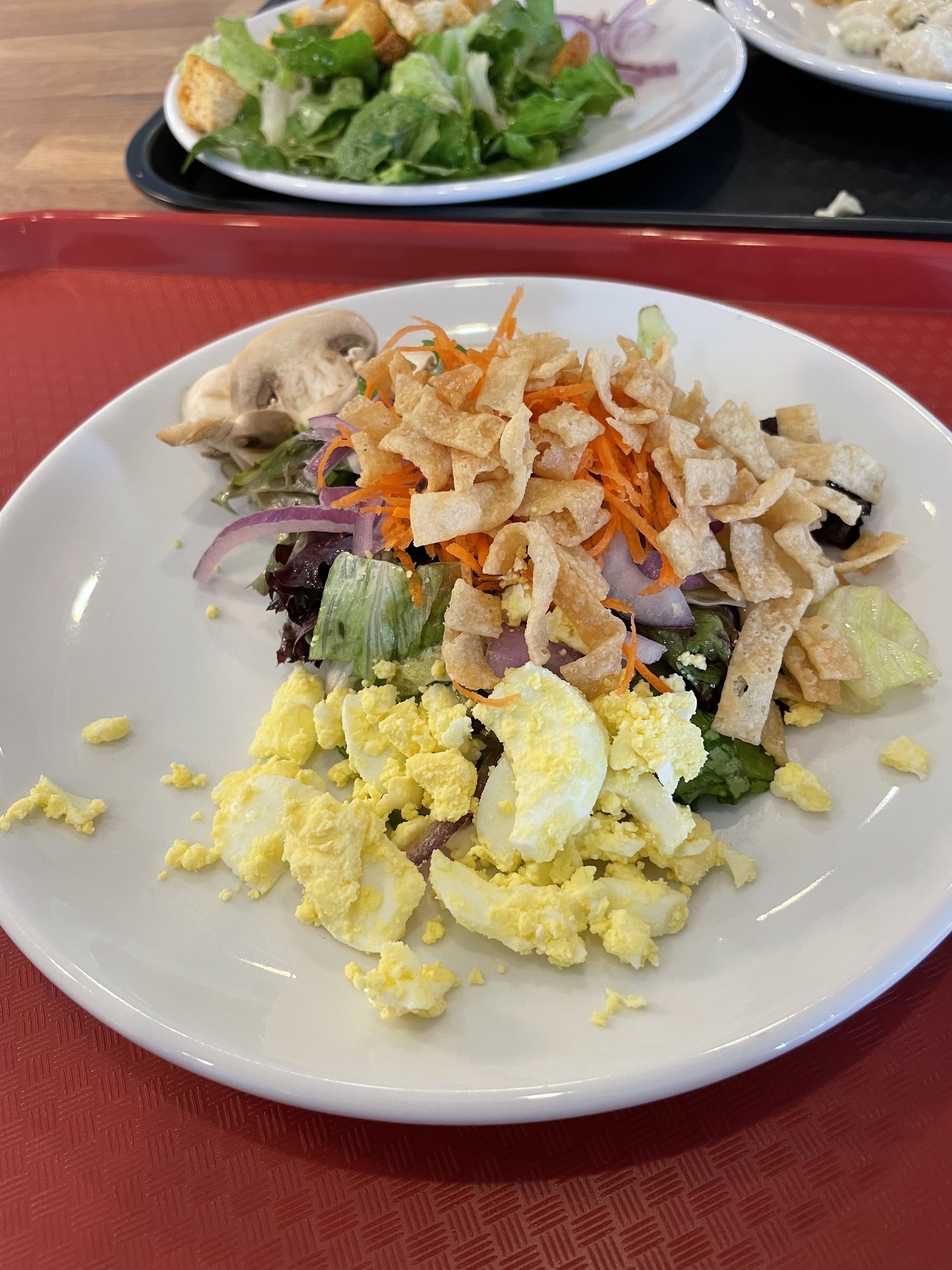 Plate of mixed salad topped with crumbled egg and crispy strips, on a dining table