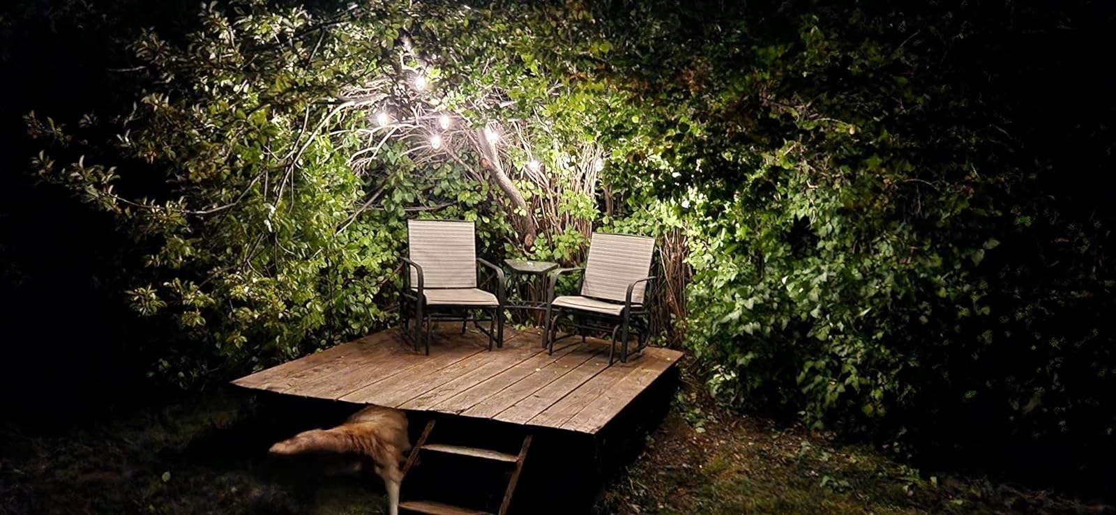A well-lit wooden deck at night with two chairs surrounded by lush foliage, suggesting an outdoor furniture shopping context