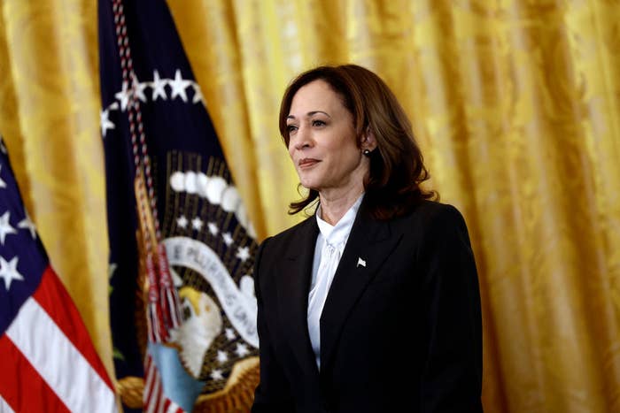 Vice President Kamala Harris stands by the US flag, dressed in formal attire for an official event