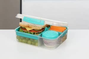 A lunchbox with compartments for a sandwich, veggies, fruits, and a small container for dips