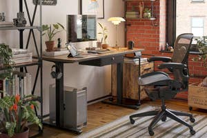 Modern home office with a height adjustable desk, ergonomic chair, and decorative plants