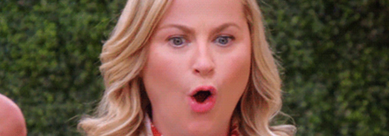A surprised Leslie Knope (character from Parks and Recreation) with a shocked expression