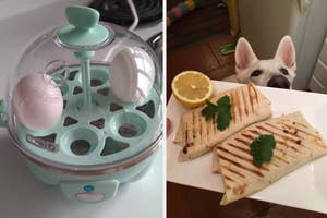 Egg cooker on left with eggs inside; on right, a dog peeking behind two quesadillas on a plate