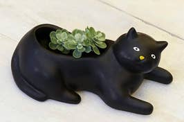 Decorative black cat-shaped planter with a succulent plant