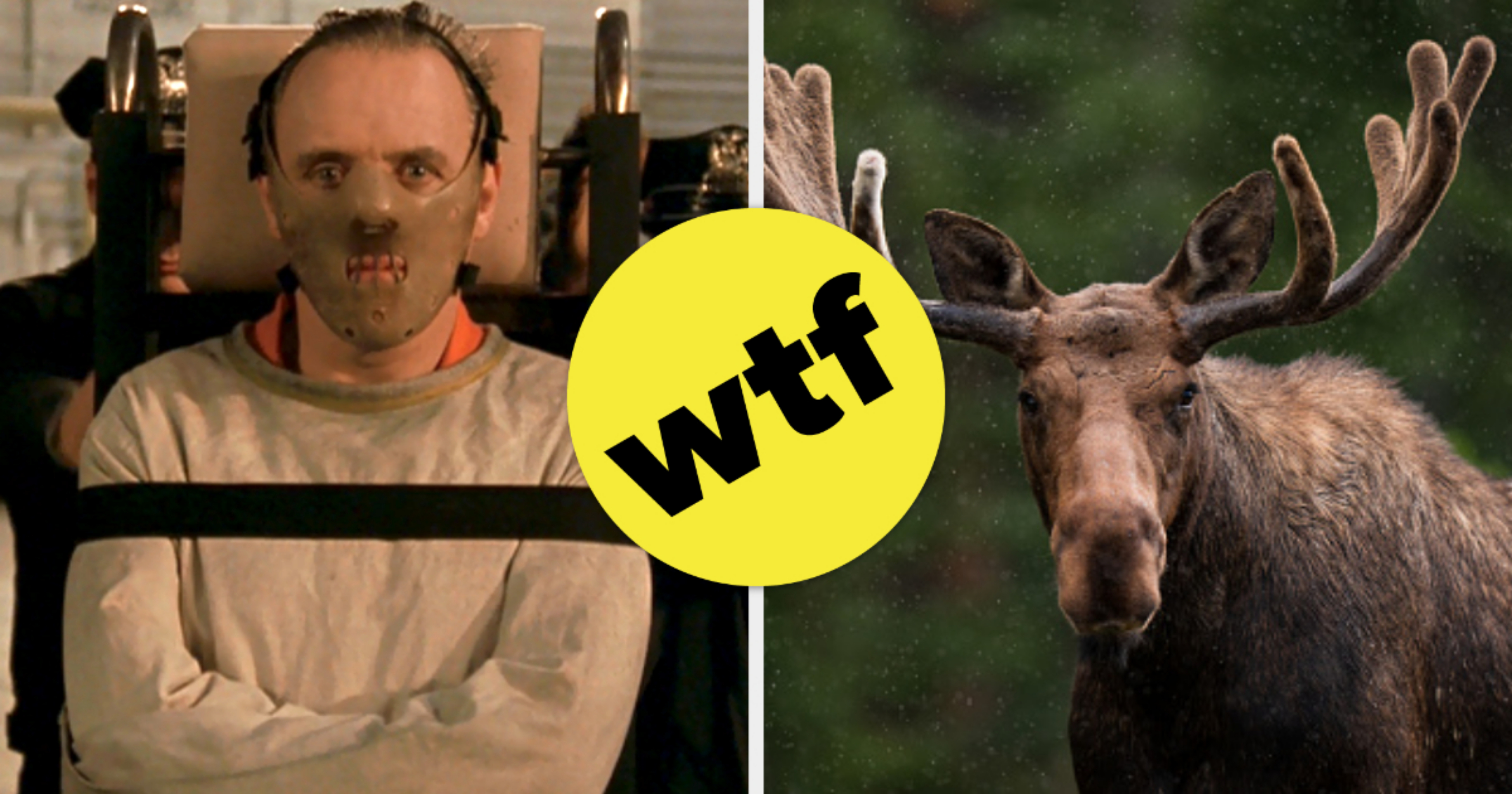 17 Wild And Hard-To-Believe True Facts, image size:3663x1923