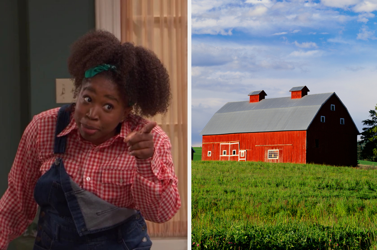 Split image: Left - Kimmy from 'Full House' with thumbs up; Right - Red barn in green field