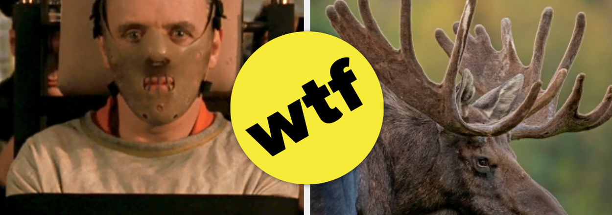 Split image: Left shows a man in a straight jacket with a restraining mask; right is a moose. Text bubble with "Wtf" between them